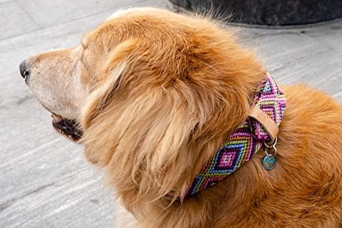 Tulum HM | Meksički ručni ogrlice za male, srednje i velike pse. Duurabilnost i visoke performanse za svakodnevnu upotrebu.