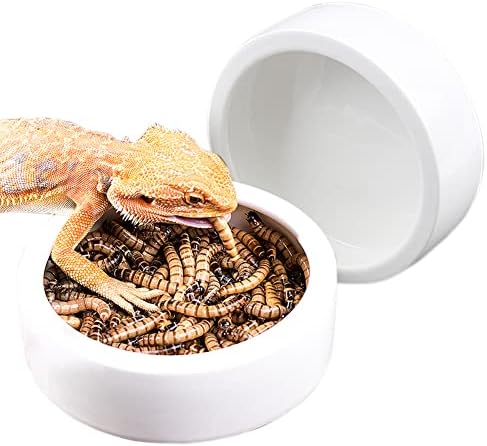 Omem Crv suđa mini gmizavac Keramika hrane Keramika