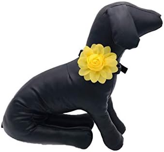 Emisija za kućne ljubimce 4kom cvijeće za pse ovratnik čari slajdovi dodatna oprema za pričvršćivanje malih