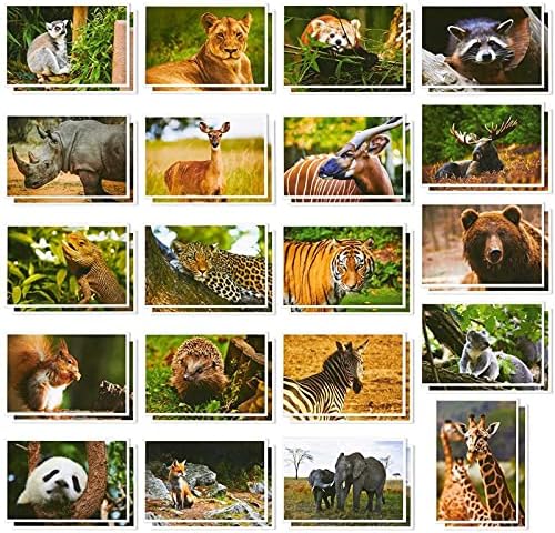 Razglednice Za Djecu Divljih Životinja, 20 Dizajna