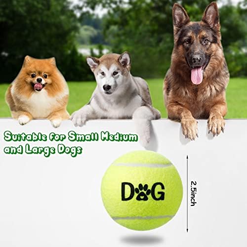 40 paketa teniskih loptica za pse Bulk 2.5 Inch lako hvatanje teniskih loptica za kućne ljubimce sa torbama