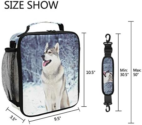 Zimska kutija za ručak za psa sibirskog haskija za višekratnu upotrebu izolovana Školska hladnjača za žene