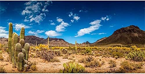 AWERT 36x18 inča pozadina staništa gmizavaca plavo nebo Oasis Cactus pustinjski terarijum pozadina izdržljiva