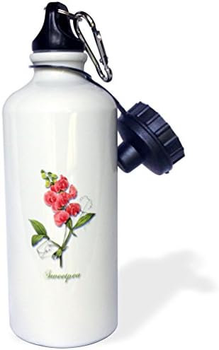 3Droza Crvena Virina Godišnja botano botanička print-sportska boca za vodu, 21oz, višebojni