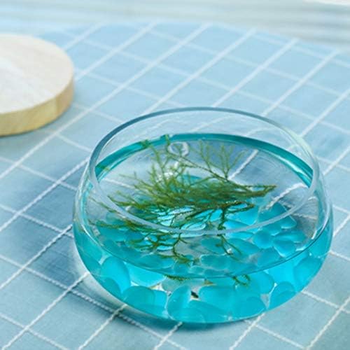 TJLSS okrugli prozirni stakleni ukrasi za akvarijum stol za kornjače rezervoar za domaćinstvo dnevna soba