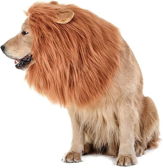 Kostim za kućne ljubimce Lion Mane Halloween lav perika sa ušima i repom, ljubimci za kućne ljubimce za