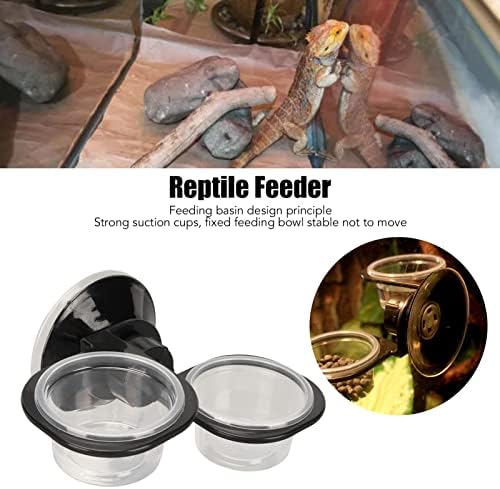 Reptilna hrana za hranjenje hrane za hranjenje zdjelo GECTO HRANE REPETILA HRANE I VODE Šalice za male kućne