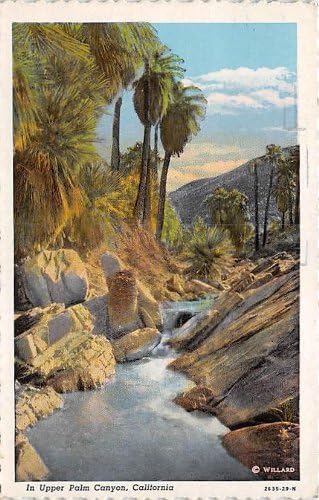 Palm Canyon, Kalifornija Razglednica