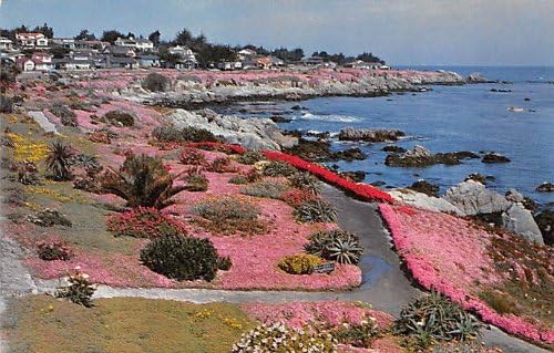 Poluotok Monterey, Kalifornija Razglednica