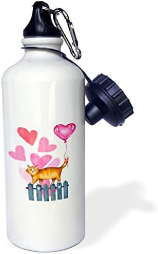 3Droza Slatka mačka na ogradi sa balonom za valentinovo - boce za vodu