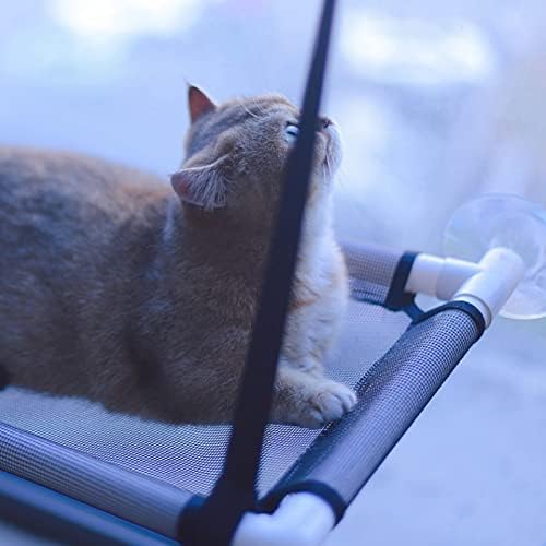 Mačji prozor smuđ, usisne čašice viseća mreža za mačji prozor lako se čisti lako se instalira ušteda prostora